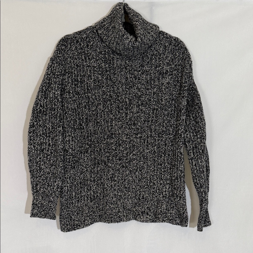 Everlane Black & White Marled Turtleneck Sweater